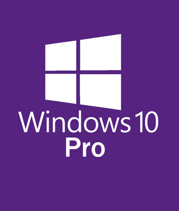 Windows 10 Professional Standard