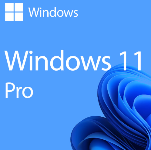Windows 11 Professional OEM