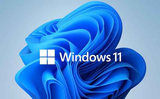 Windows 11 Home OEM